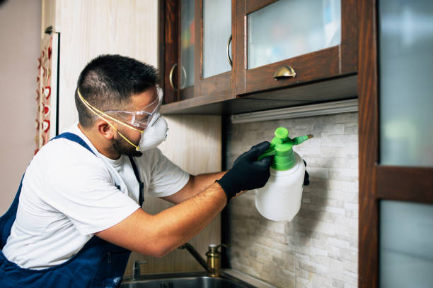 Pest Control for Restaurants in Lowes Island, VA