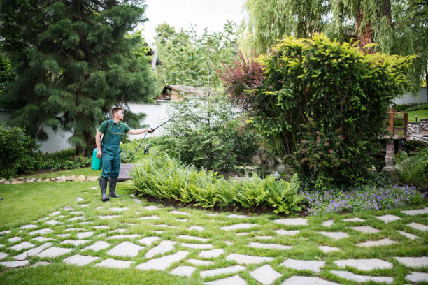 Best Mosquito Control Services  in Lowes Island, VA