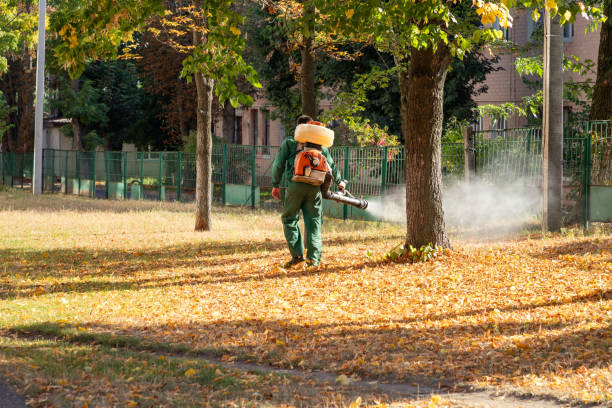 Best Wasp Removal Services  in Lowes Island, VA