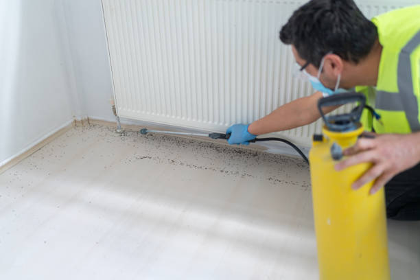 Best Exterminator Services  in Lowes Island, VA