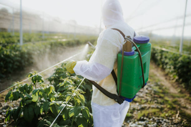 Insect Control in Lowes Island, VA